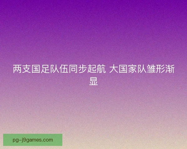 两支国足队伍同步起航 大国家队雏形渐显